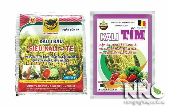 Tác dụng của phân Kali đối với các loại cây trồng
