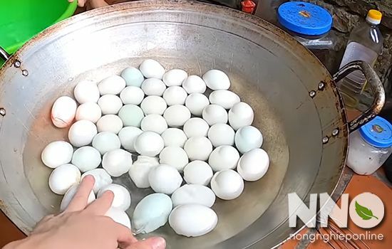 Trứng vịt lộn luộc bao lâu thì chín? Trứng vịt lộn ăn với rau gì