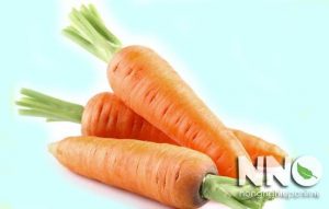 Củ cà rốt tiếng anh là gì