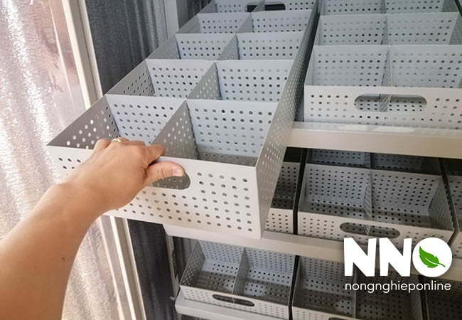 Khay ấp trứng đà điểu