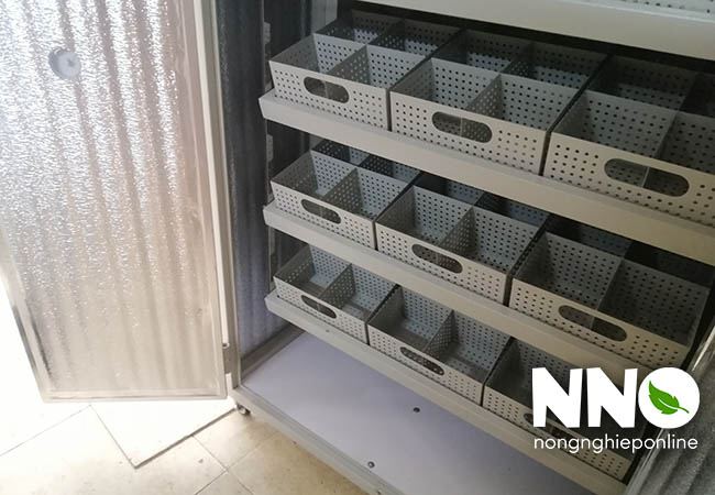 Nguyên lý hoạt động của máy ấp trứng công nghiệp