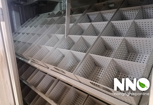 Máy ấp trứng đà điểu 240 trứng