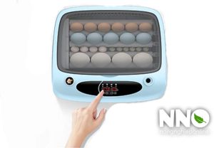 Máy ấp trứng vỏ nhựa