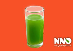 Nước rau mùi