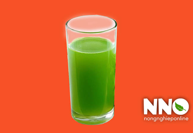 Nước rau mùi