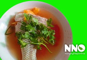 Bà bầu ăn rau mùi được không