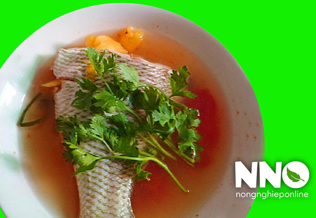 Bà bầu ăn rau mùi được không