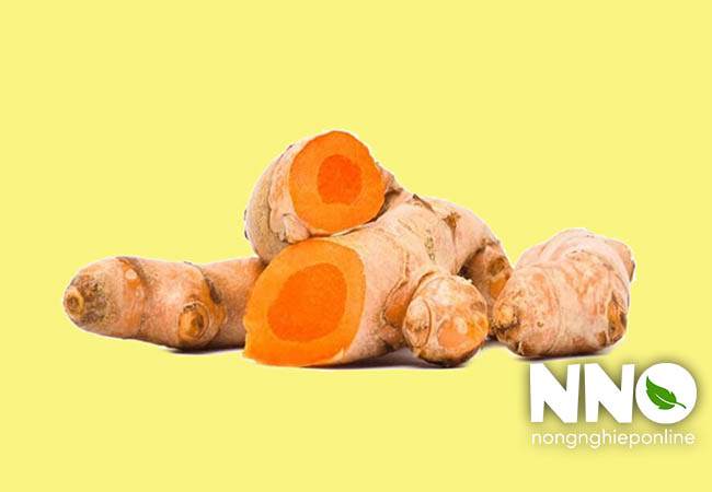 Củ nghệ