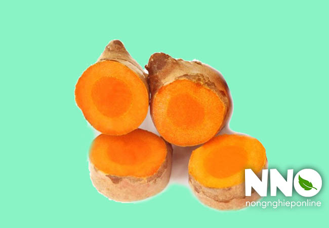Củ nghệ