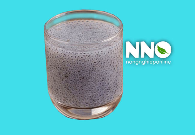 Hạt chia