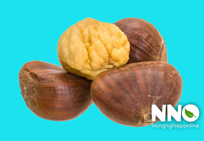 Giá trị dinh dưỡng của hạt dẻ