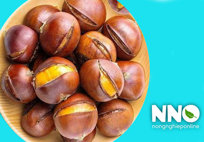 Giá trị dinh dưỡng của hạt dẻ