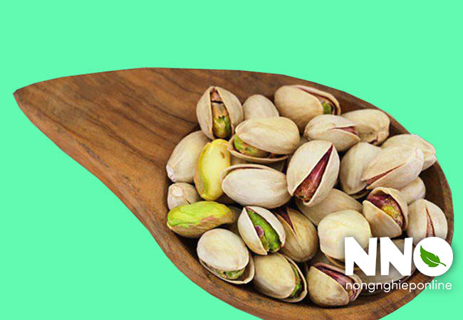 Hạt dẻ cười
