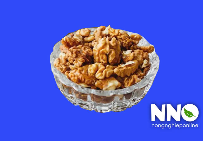 Hạt óc chó