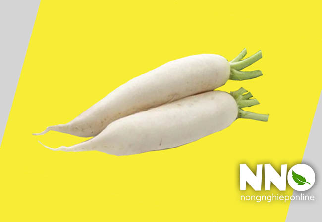 Củ cải