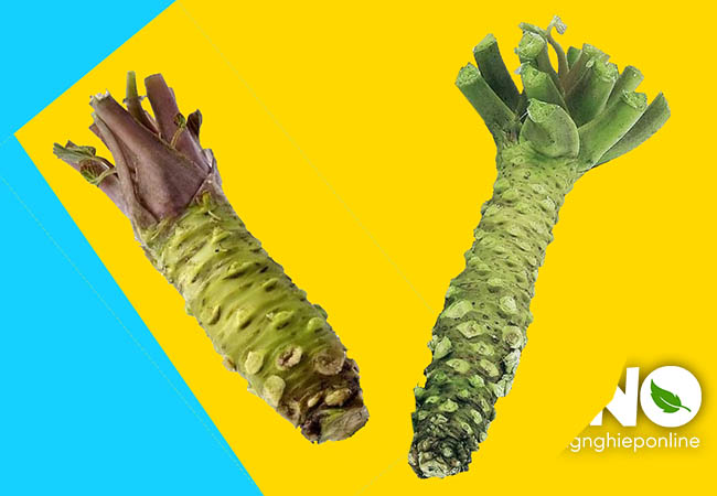 Củ wasabi