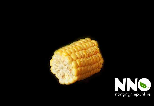 Ngô ngọt