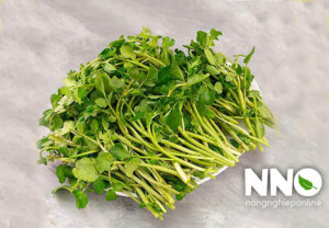Rau cải xoong