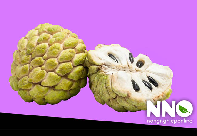 Giá trị dinh dưỡng của quả na