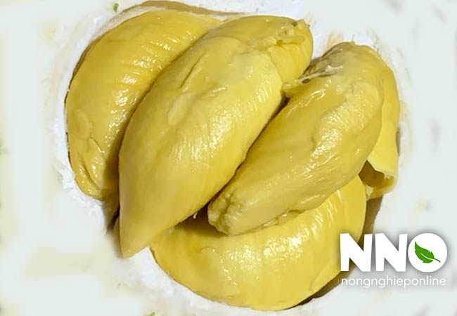 Sầu riêng