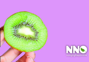 Quả kiwi