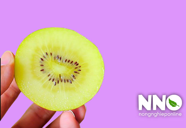 Quả kiwi